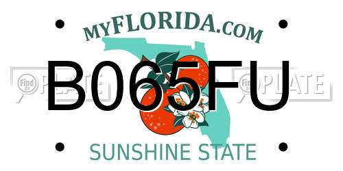B065FU Florida License Plate