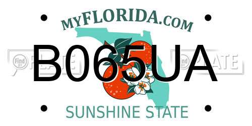 B065UA Florida License Plate