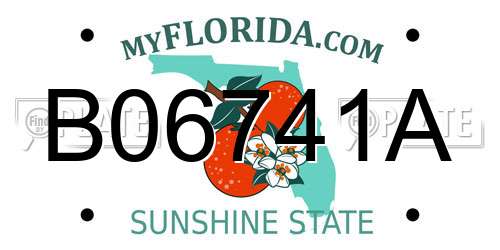 B06741A Florida License Plate