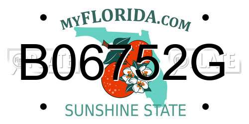 B06752G Florida License Plate