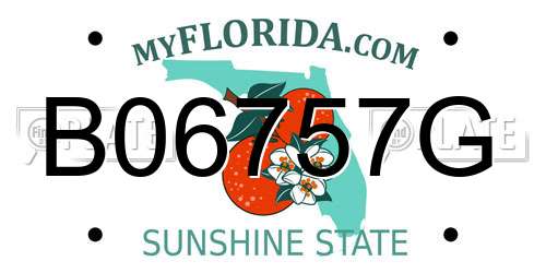 B06757G Florida License Plate
