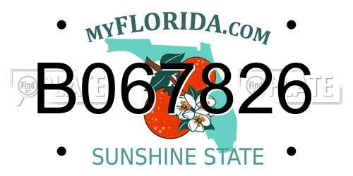 B067826 Florida License Plate