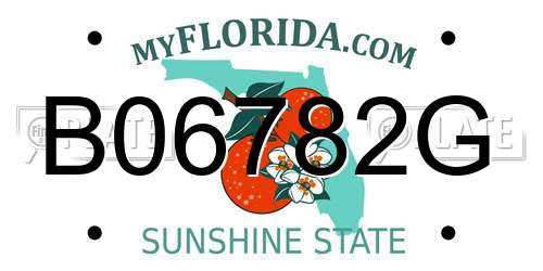 B06782G Florida License Plate