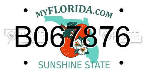 B067876 Florida License Plate