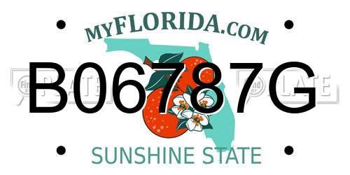 B06787G Florida License Plate