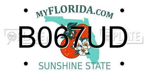 B067UD Florida License Plate