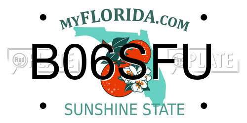 B06SFU Florida License Plate