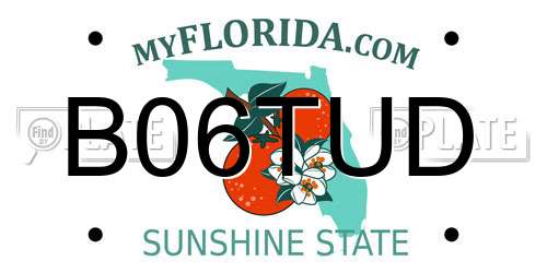B06TUD Florida License Plate