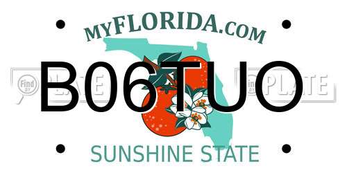 B06TUO Florida License Plate