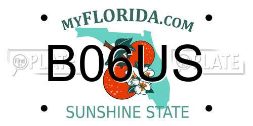 B06US Florida License Plate