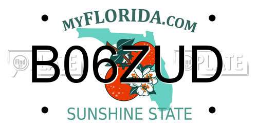 B06ZUD Florida License Plate