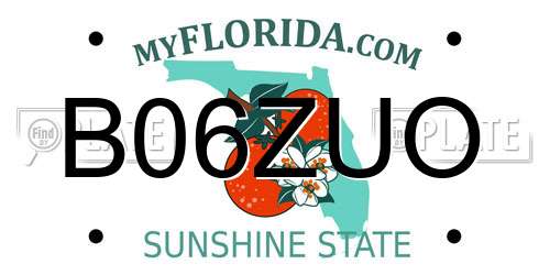 B06ZUO Florida License Plate