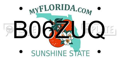 B06ZUQ Florida License Plate