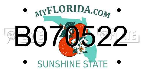 B070522 Florida License Plate
