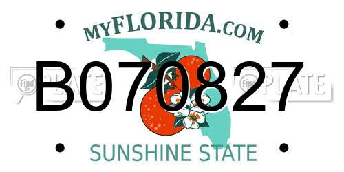 B070827 Florida License Plate