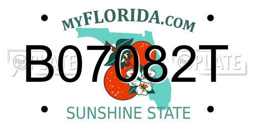 B07082T Florida License Plate