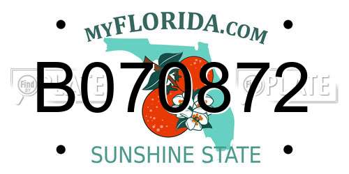 B070872 Florida License Plate