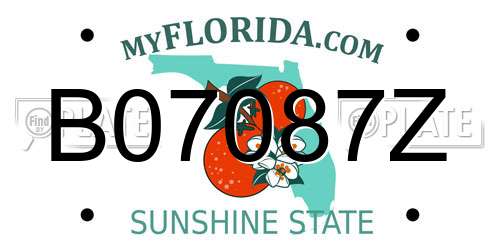 B07087Z Florida License Plate