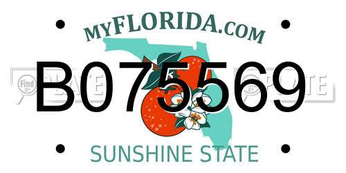 B075569 Florida License Plate