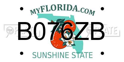 B076ZB Florida License Plate