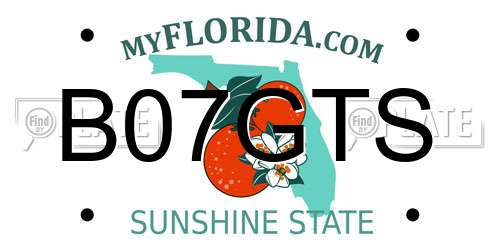 B07GTS Florida License Plate