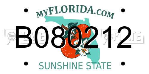 B080212 Florida License Plate