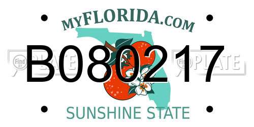 B080217 Florida License Plate