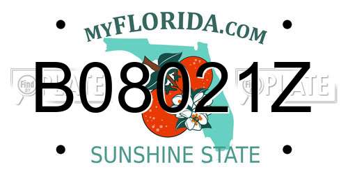 B08021Z Florida License Plate