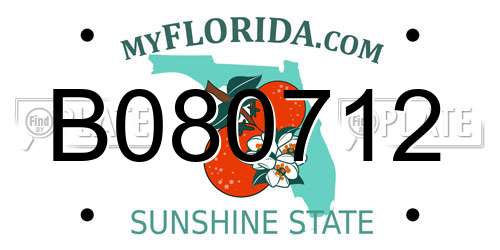 B080712 Florida License Plate