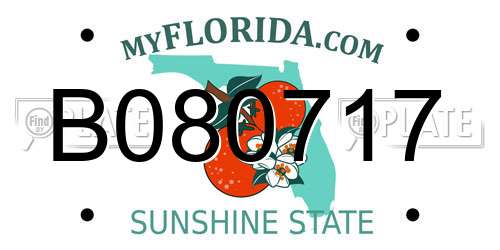 B080717 Florida License Plate