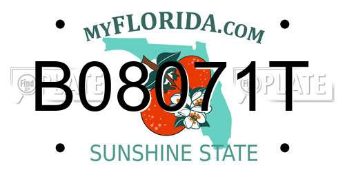 B08071T Florida License Plate