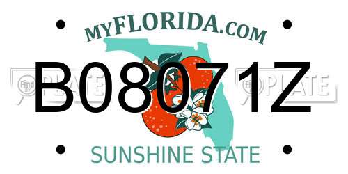 B08071Z Florida License Plate