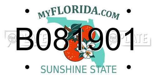 B081901 Florida License Plate