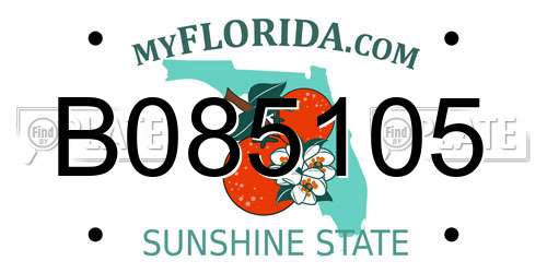 B085105 Florida License Plate