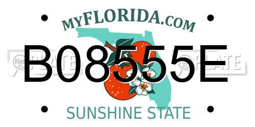B08555E Florida License Plate