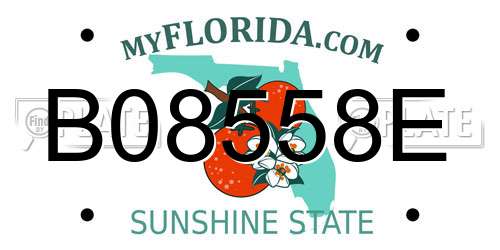 B08558E Florida License Plate