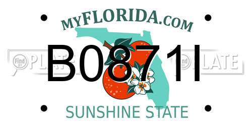 B0871I Florida License Plate