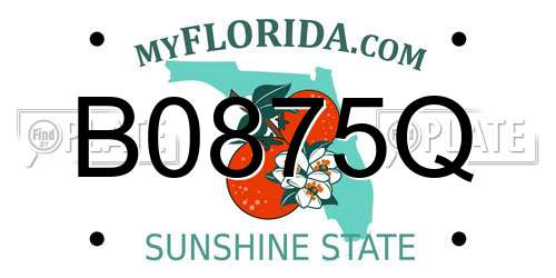 B0875Q Florida License Plate