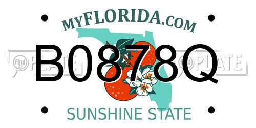 B0878Q Florida License Plate