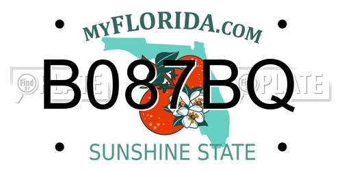 B087BQ Florida License Plate