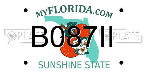 B087II Florida License Plate