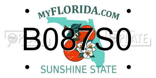 B087S0 Florida License Plate