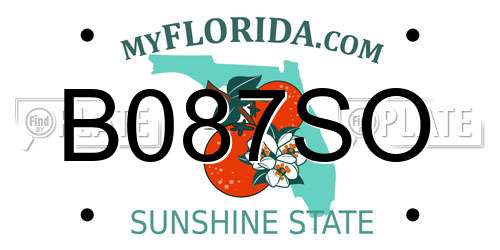 B087SO Florida License Plate