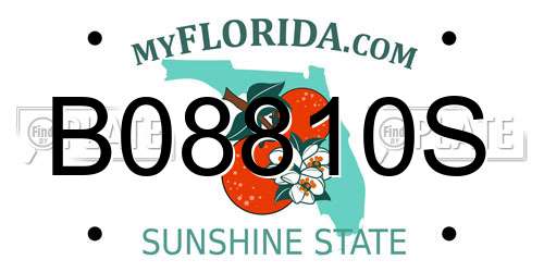 B08810S Florida License Plate
