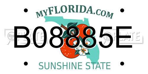 B08885E Florida License Plate