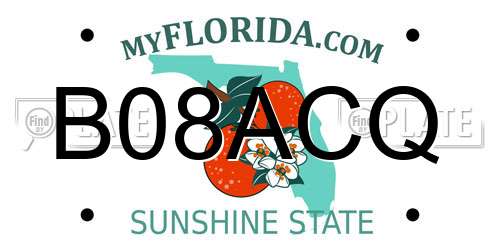 B08ACQ Florida License Plate