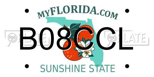B08CCL Florida License Plate