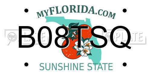 B08TSQ Florida License Plate