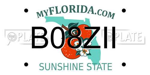B08ZII Florida License Plate