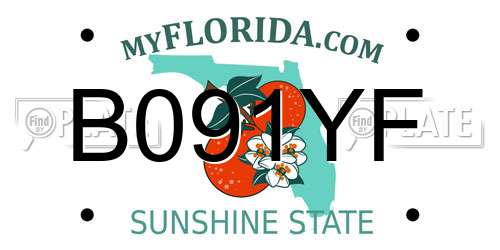 B091YF Florida License Plate